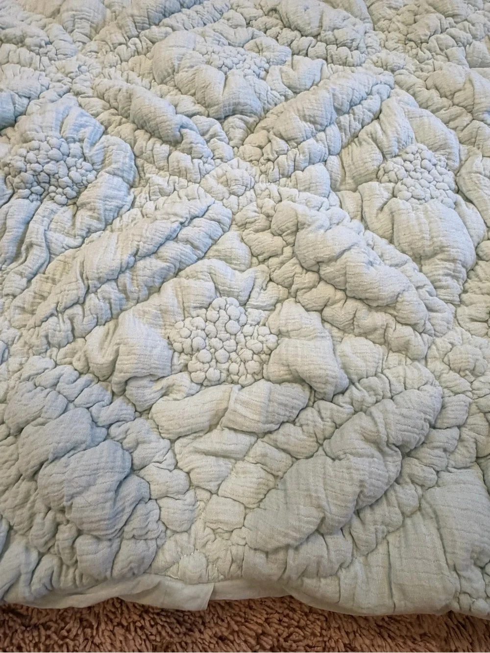 New Anthropologie everly cotton floral euro sham textured mint green blue cover